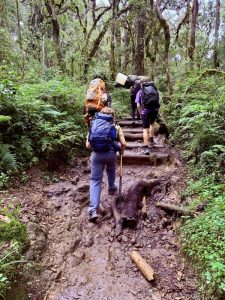 On the trail at Kilimanjaro